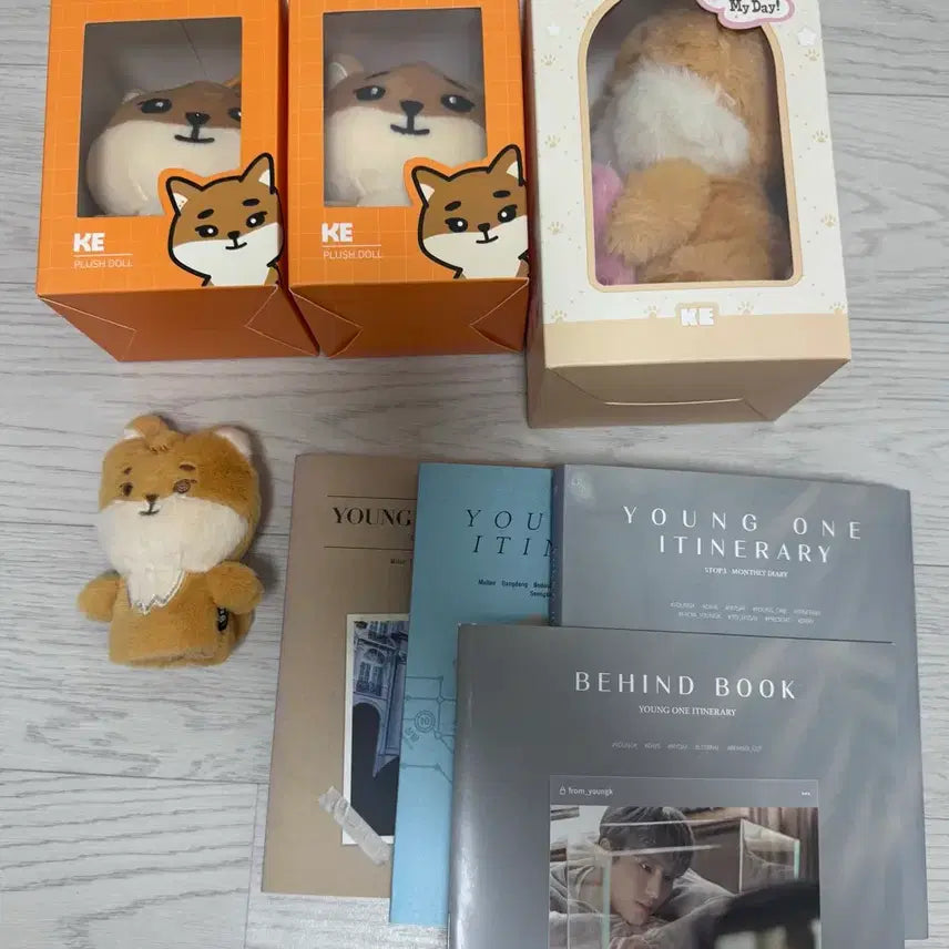 [BUNJANG] DAY6 Young K Bundle Set (Everything, Demul, Voice, Finger) / 데이식스 영케이 굿즈 일괄 판매(영원, 데멀, 보이스, 손가락)