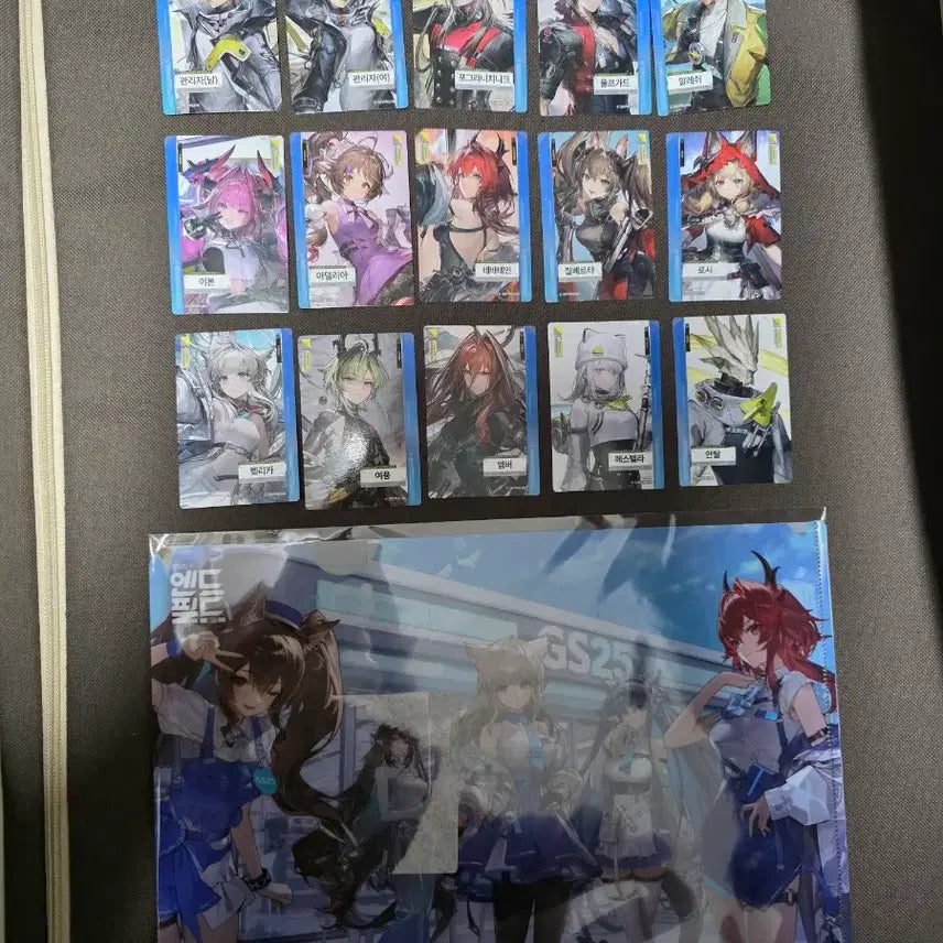 [BUNJANG] Arknights Endfield Collaboration Photocard Clear File Bundle Set / 명일방주 엔드필드 콜라보 포토카드 클리어파일 판매
