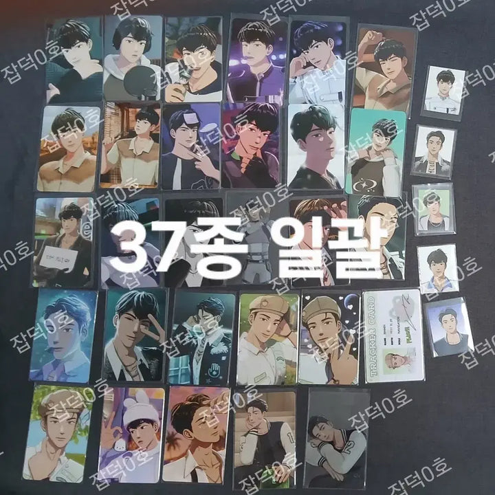 [BUNJANG] PLAVE Hamin Photocard Bundle Set / 플레이브 하민 포카 포토카드 논중화물 시그 플리존 아이디 빼빼로 엽서증사