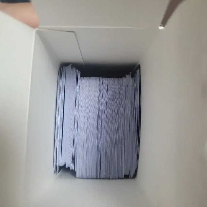 [BUNJANG] Terrastal Festa Inferno X Ninja Spinner Cards / 테라스탈페스타,인페르노x,닌자스피너