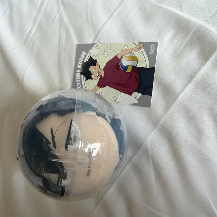 [BUNJANG] Haikyuu!! Tetsuro Kuroo School Uniform Plush Doll / 쿠로오 테츠로 하이큐 가차 교복 누이