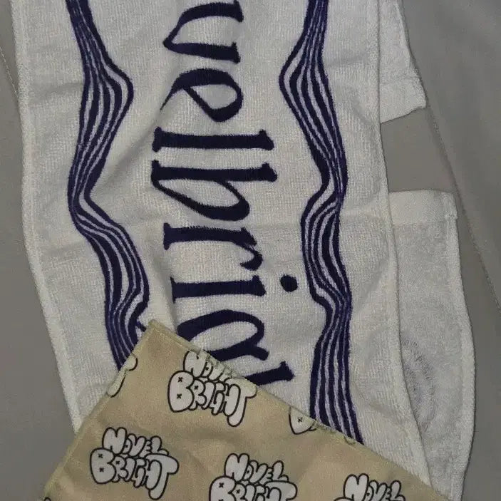 [BUNJANG] Novelbright Mini Towel / 노벨브라이트 Novelbright 타올 미니타올