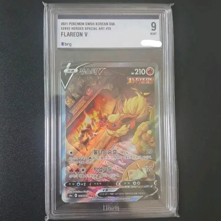 [BUNJANG] Pokemon Booster V Special Edition BRG9 / 포켓몬 카드 부스터 V 특일 brg9