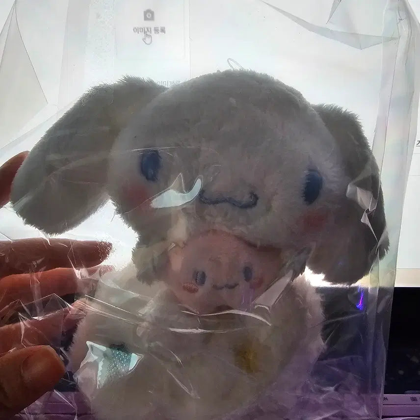 [BUNJANG] Sanrio Cinnamoroll Cloud Siblings Series Plush Dolls (Set of 2) / 산리오 시나모롤 구름형제 시리즈 인형 팝니다