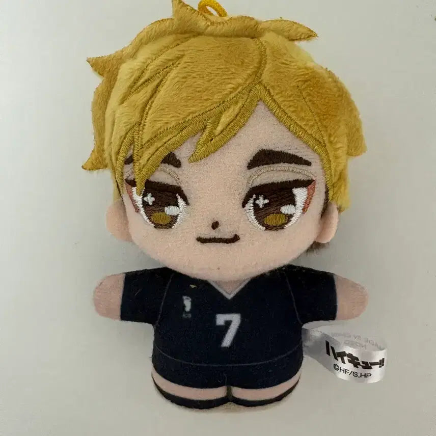 [BUNJANG] Haikyuu!! Miya Atsumu Purinui Doll / 하이큐 미야 아츠무 푸리누이 인형