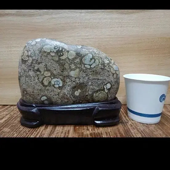 [BUNJANG] Cheongsong Flower Stone - Price Negotiable / 청송꽃돌 가격조정가능