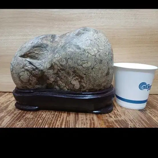 [BUNJANG] Cheongsong Flower Stone - Price Negotiable / 청송꽃돌 가격조정가능