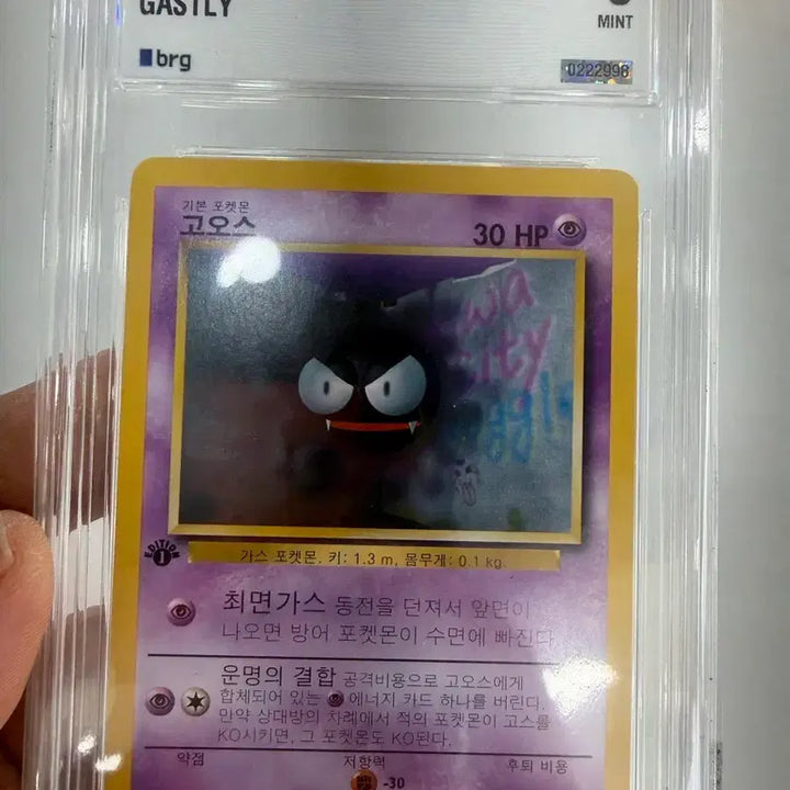 [BUNJANG] 1st Edition Goos Card (2000) / 2000 초판고오스