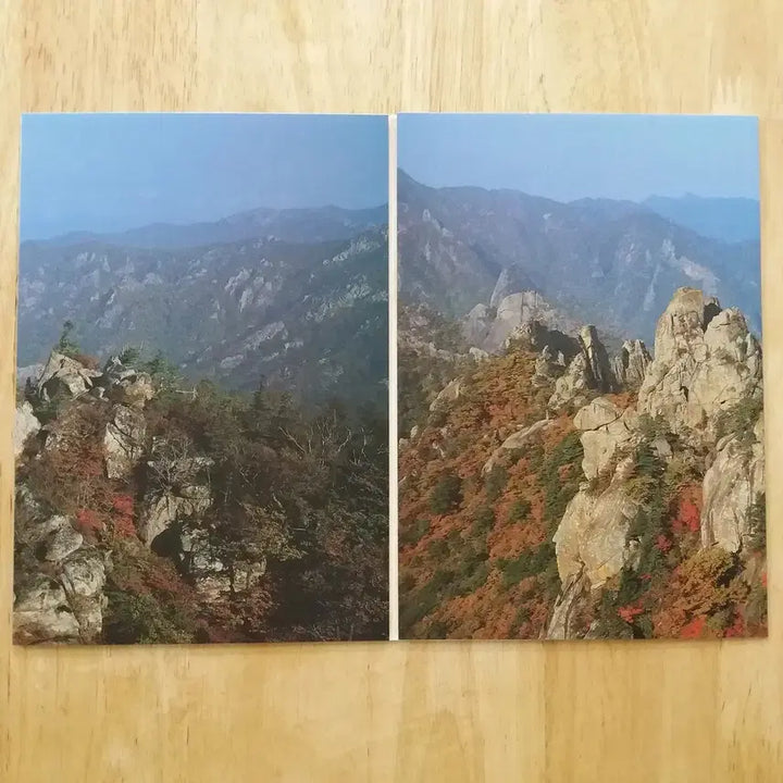 [BUNJANG] 1990 Korean Stamp Album / 1990 한국의 우표첩