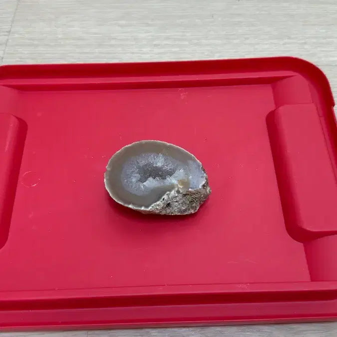 [BUNJANG] Amethyst Slice - High-Grade Rare Crystal Stone (6x4cm) / 자수정 단면 [고급 희귀 수정 원석 /인테리어 소품 6*4cm]