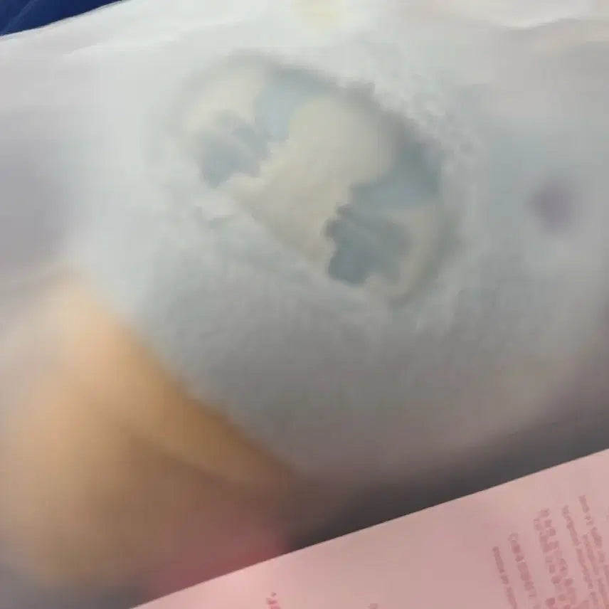 [BUNJANG] SEVENTEEN MiniTeen Ice Cream Face Keyring Non-member / 세븐틴 미니틴 아이스크림 페이스 키링 논버 양도