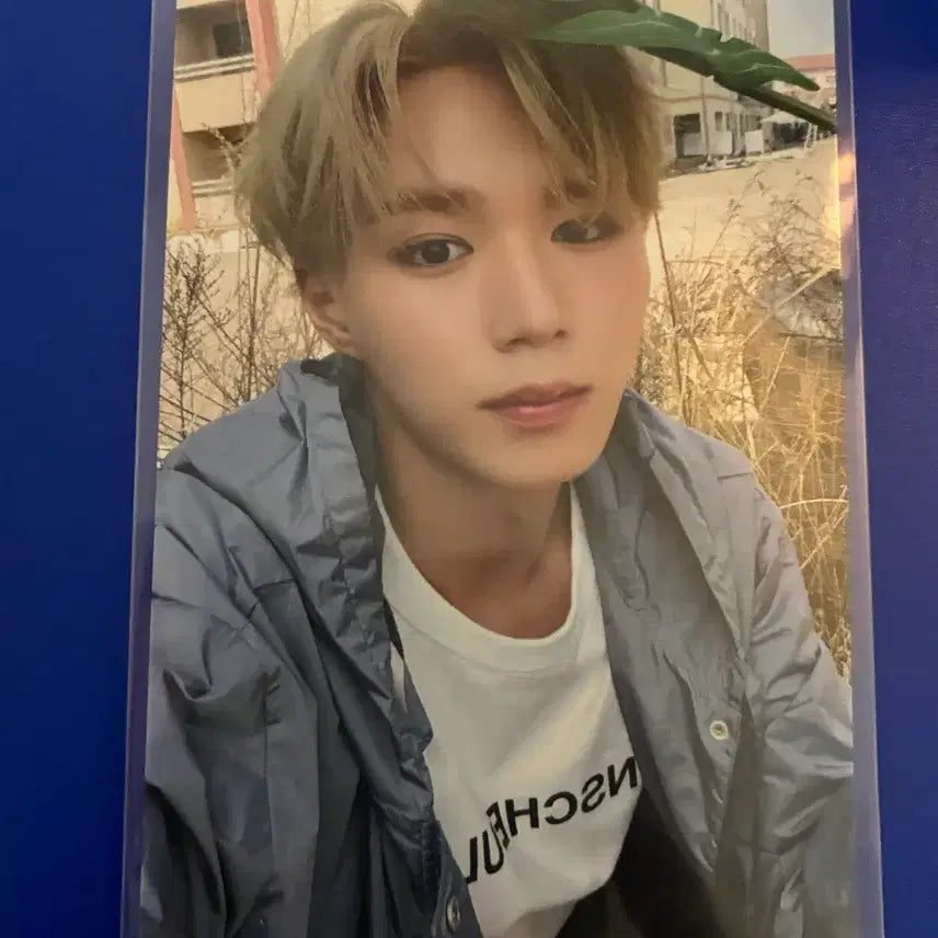 [BUNJANG] Kim Junseo 2nd Week Photocard / 김준서2주차공방양도