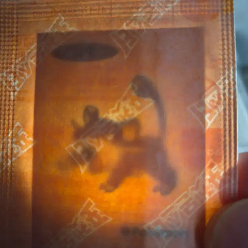 [BUNJANG] Choco-Ring Ttingbu Seal Sticker / 꼬렛 띠부실