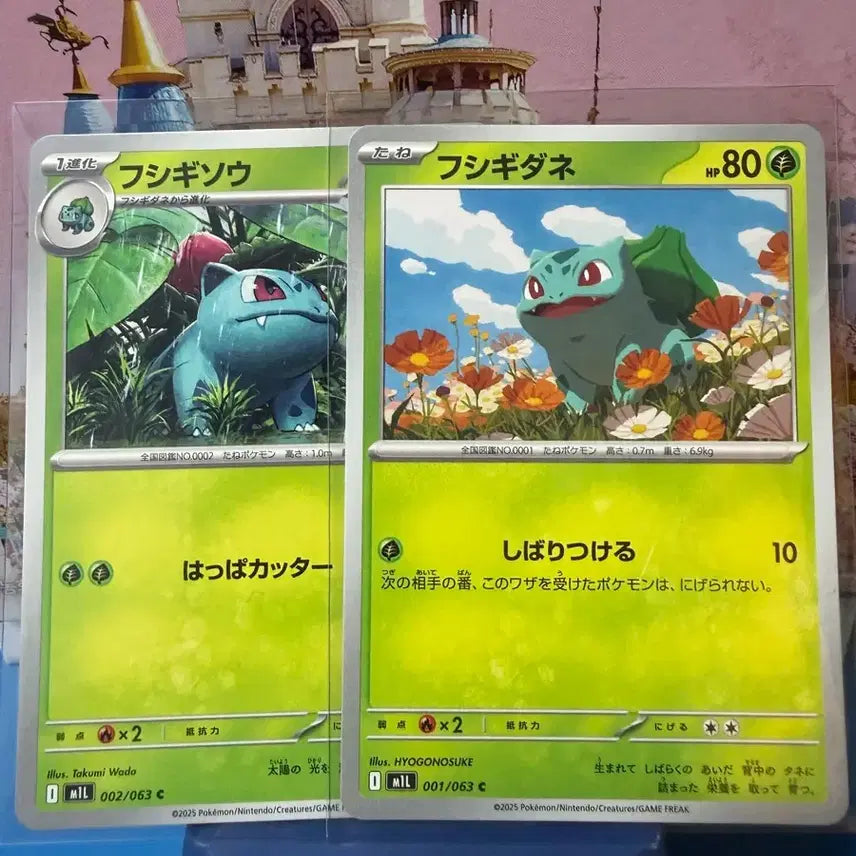 [BUNJANG] Pokemon Card Bulbasaur, Ivysaur - Japanese / 일판 포켓몬카드 이상해씨, 이상해풀