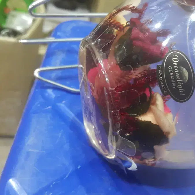 [BUNJANG] Unique Glass and Resin Decorative Ornament with Embedded Flower / 독일 장식품/내용 필독