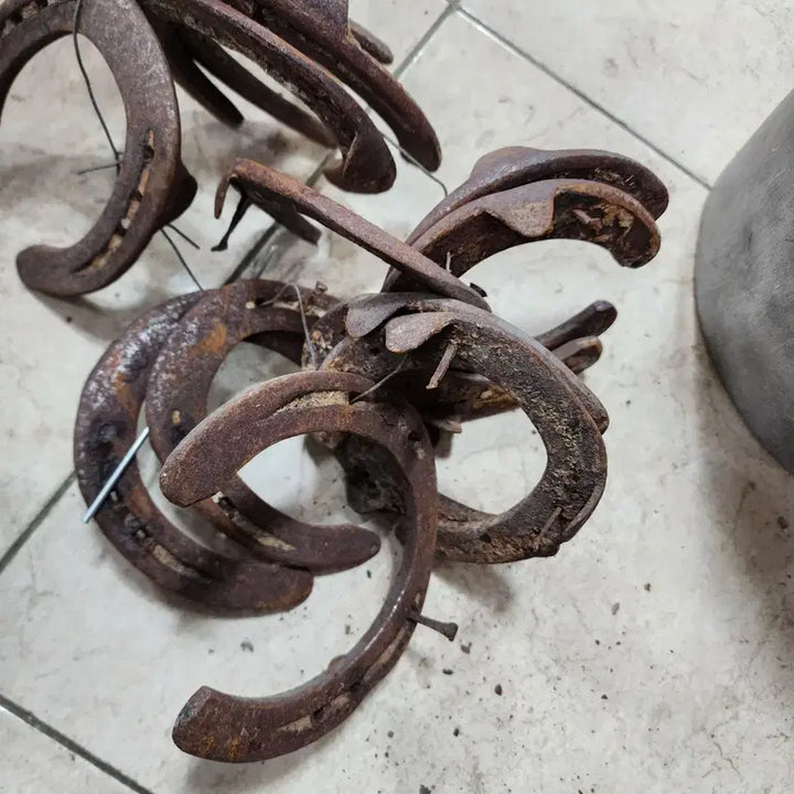 [BUNJANG] Used Horseshoe Nail / 1개에10000원 사용제 말발급쇠 편자