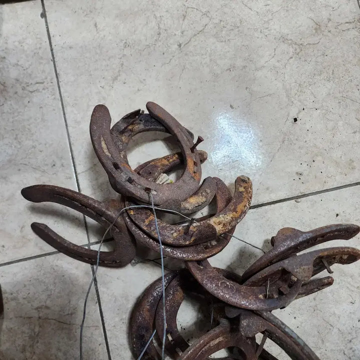 [BUNJANG] Used Horseshoe Nail / 1개에10000원 사용제 말발급쇠 편자