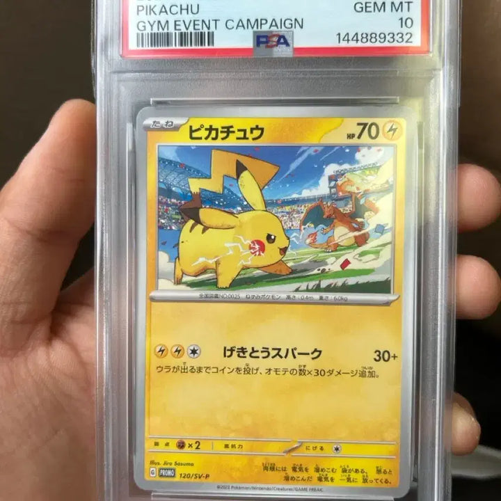 [BUNJANG] 2023 Jim Event Pikachu &amp; Charizard Card / 2023짐프로모 피카츄 리자몽 카드교환또는 판매합니다