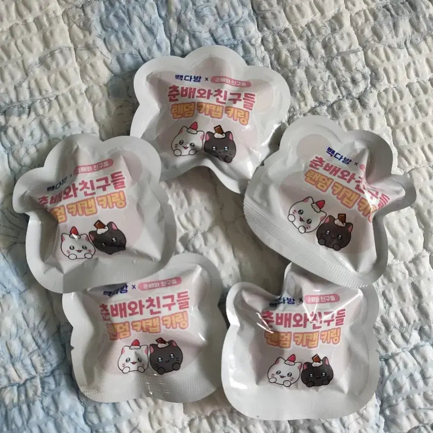 [SOLD OUT] 빽다방 춘배 키캡 키링 5개
