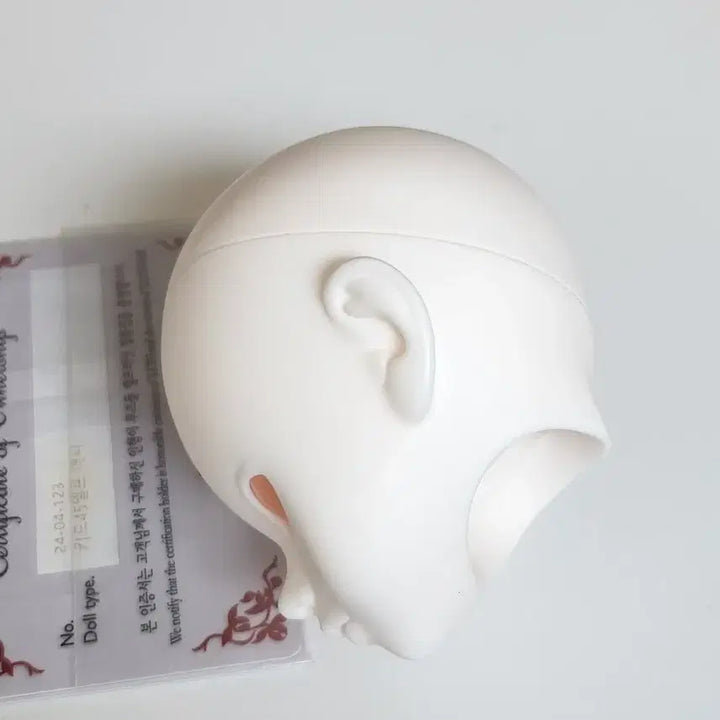 [SOLD OUT] 구체관절인형 루츠 키드델프 애니 msd 헤드