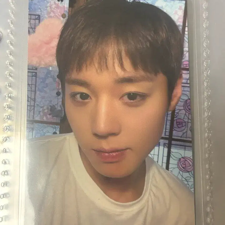 [BUNJANG] Park Ji Hoon Withmuu Photocard / 박지훈 위드뮤 포카