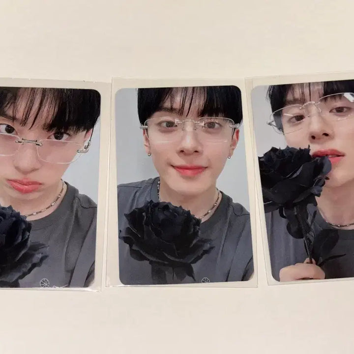 [BUNJANG] VERIVERY Kangmin Lucky Draw Photocard / 베리베리 강민 유강민 프리폴링 미공포 포카 미니레코드 흑장미