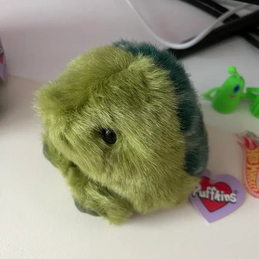 [BUNJANG] Puffkins Turtle Plush / 퍼프킨스 거북이
