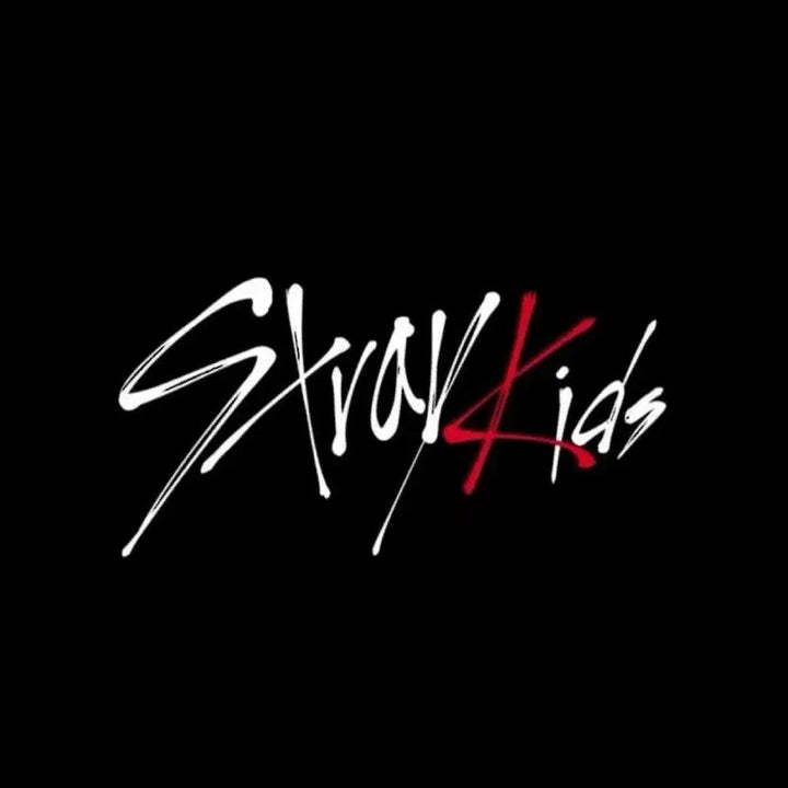 [BUNJANG] Stray Kids Merchandise Bundle / 급처)스트레이키즈 굿즈 처분