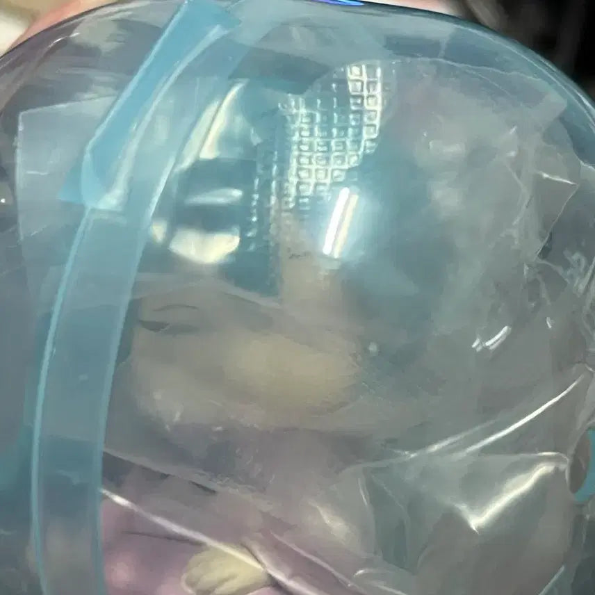 [BUNJANG] Hatsune Miku Shoulder Bump Gacha Figure / 하츠네미쿠 어깨쿵 가챠 팝니다