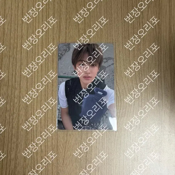 [BUNJANG] Cortis Sung Hyun Official Photocard / 코르티스 성현 공방 포카 cortis
