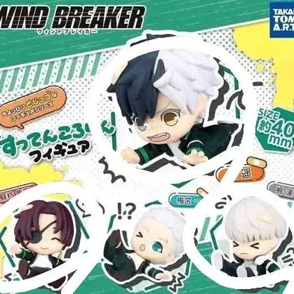 [BUNJANG] Wind Breaker Kkudang Mascot Gacha Bundle Set (Sakura, Suo, Kaji) / [일괄]윈브레 꽈당 마스코트 가챠(사쿠라,스오,카지)