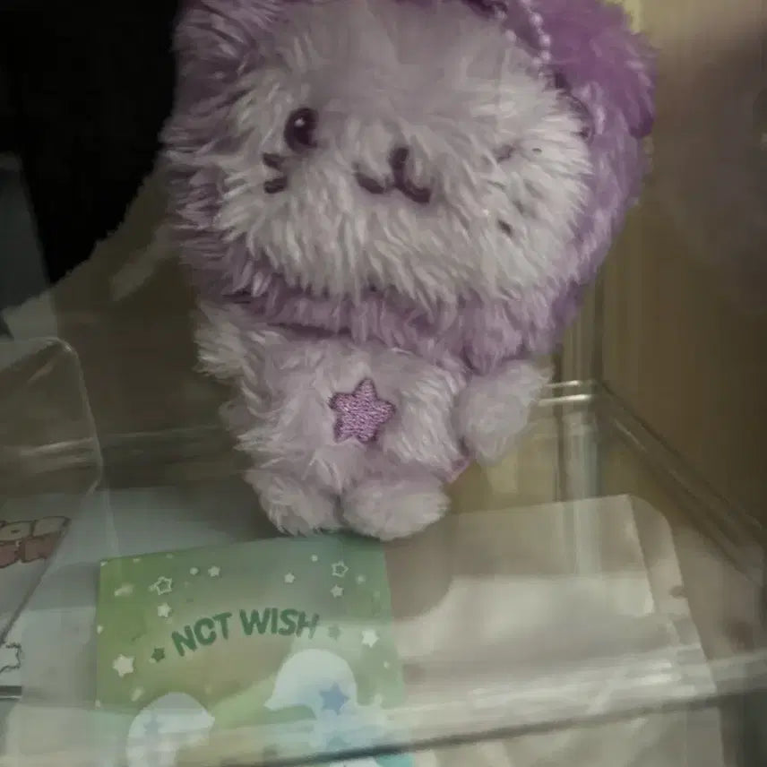 [BUNJANG] Color Wish Doll Bubble Cat / 컬러위시돌 버블냥 네고가능