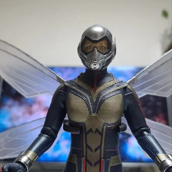 [BUNJANG] Hot Toys 1/6th Scale Wasp (Hope van Dyne) Figure / 핫토이 1/6 앤트맨과 와스프 - 와스프 (호프 반다인)