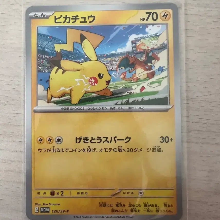 [BUNJANG] Pokemon Card Pikachu Gym Promo Japanese Version 1 / 포켓몬 카드 피카츄 짐 프로모 일판1