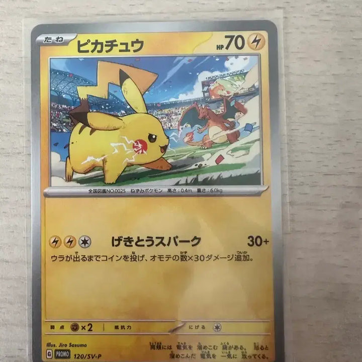 [BUNJANG] Pokemon Card Pikachu Gym Promo Japanese Edition / 포켓몬 카드 피카츄 짐 프로모 일판2