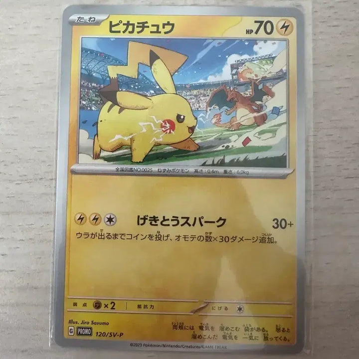 [BUNJANG] Pokemon Card Pikachu Gym Promo Japanese Edition / 포켓몬 카드 피카츄 짐 프로모 일판3