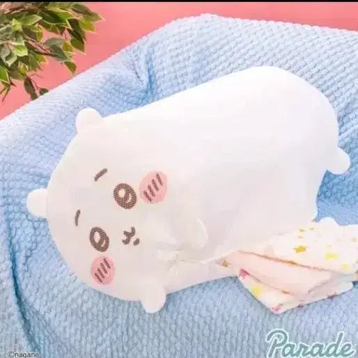[BUNJANG] Chiikawa Laundry Net Bag / 치이카와 세탁망
