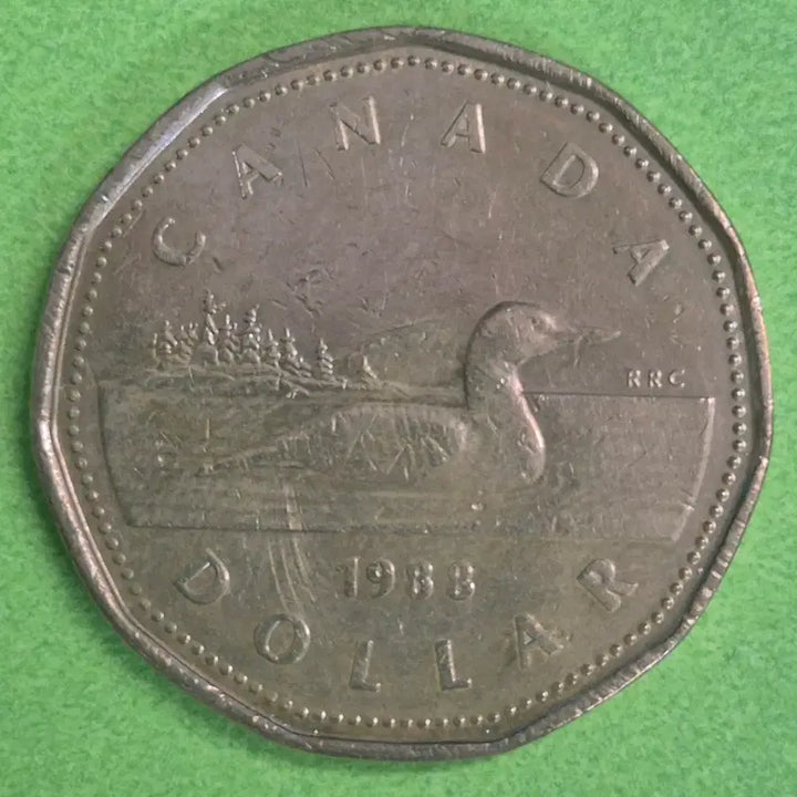 [BUNJANG] 1988 Canada 1 Dollar Coin / 1988 캐나다 1달러 동전 M3159