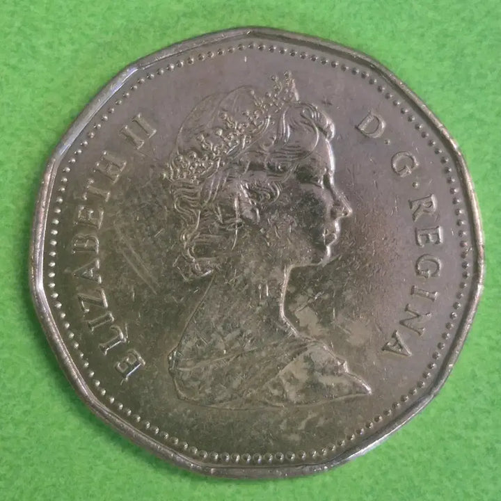 [BUNJANG] 1988 Canada 1 Dollar Coin / 1988 캐나다 1달러 동전 M3159