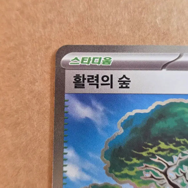 [BUNJANG] Pokémon Card Forest of Vitality / 포켓몬카드 활력의 숲