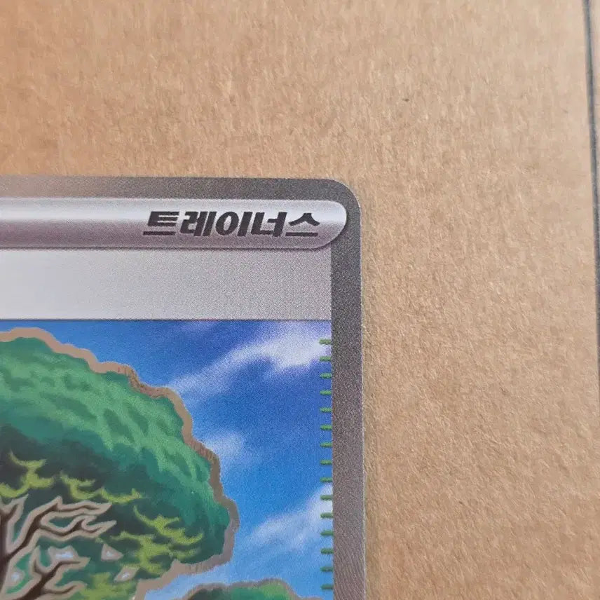 [BUNJANG] Pokémon Card Forest of Vitality / 포켓몬카드 활력의 숲