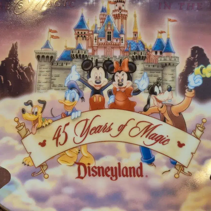 [BUNJANG] Disney 45th Anniversary Limited Edition Plate / 디즈니 45주년 한정판 접시