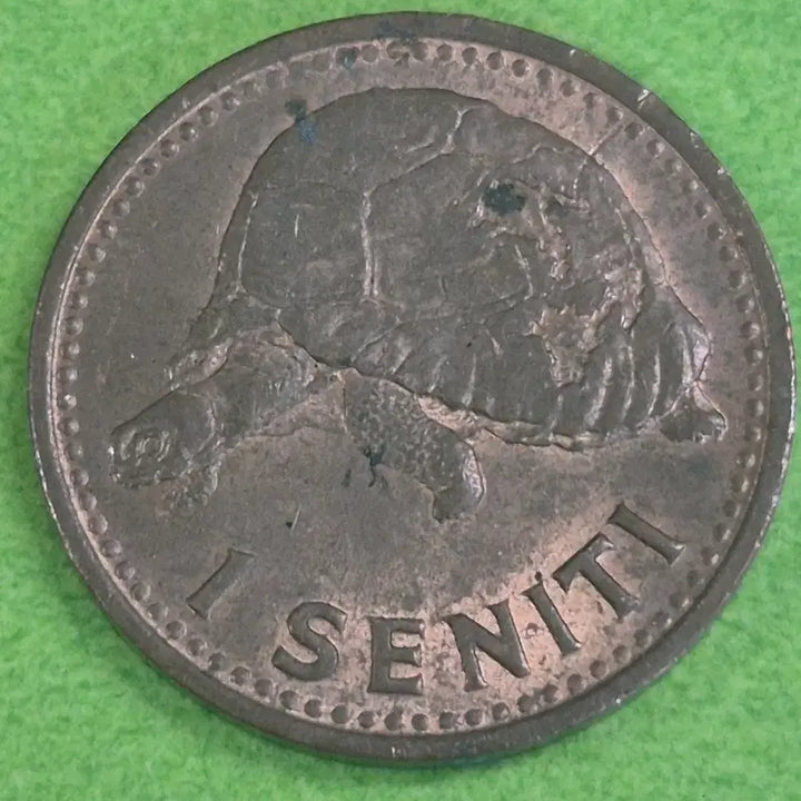 [BUNJANG] Tonga Kingdom 1 Cent Coin / [희귀] 통가 왕국 1센티 동전 M3173