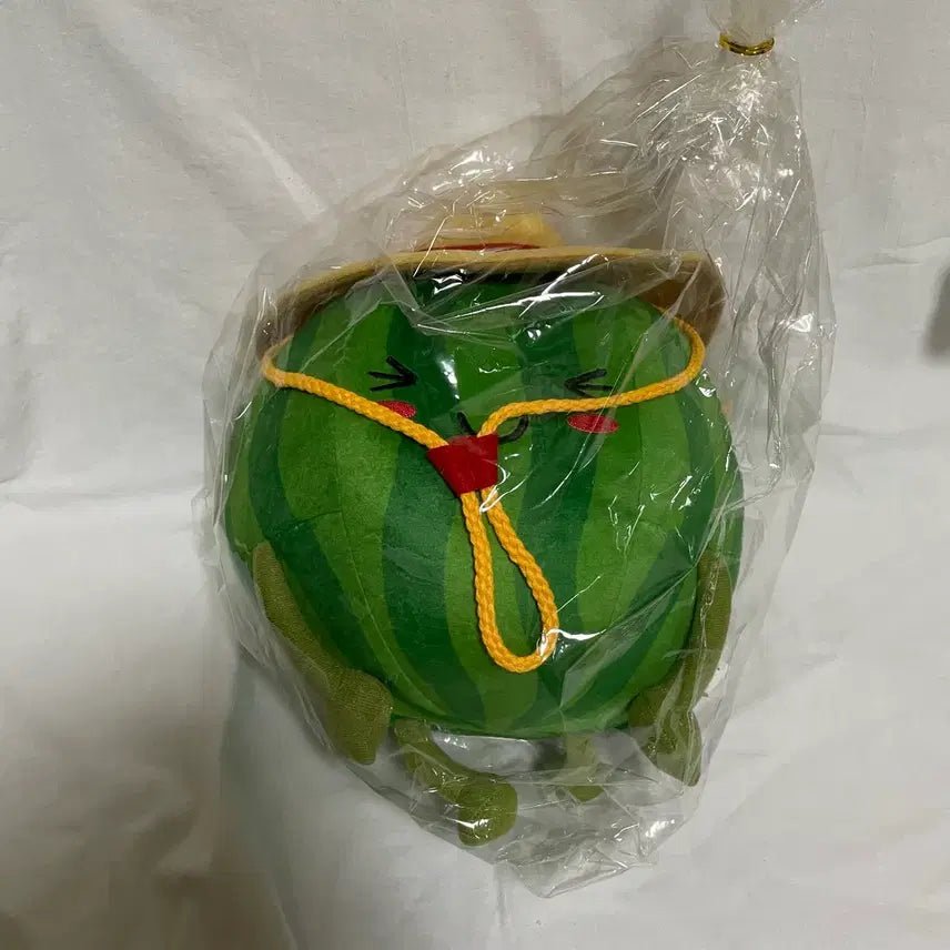 [BUNJANG] Watermelon Plush Toy / 수박 인형