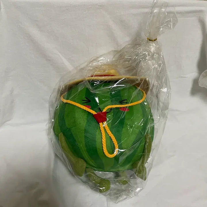[BUNJANG] Watermelon Plush Toy / 수박 인형