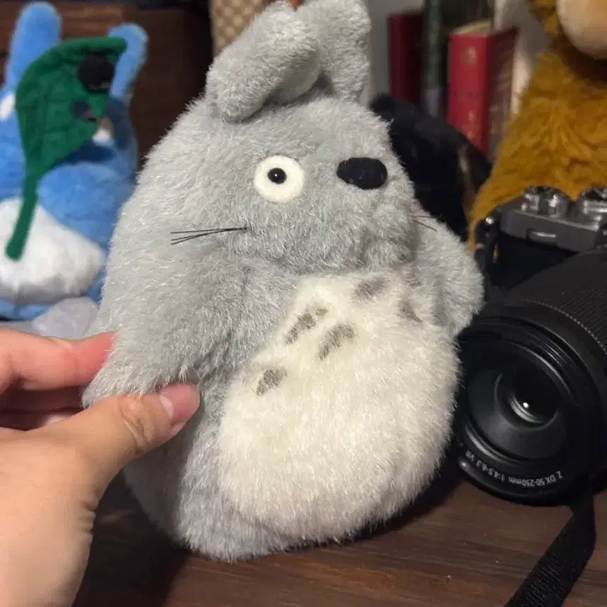 [BUNJANG] Studio Ghibli My Neighbor Totoro Plush Toy / 지브리 이웃집 토토로 인형