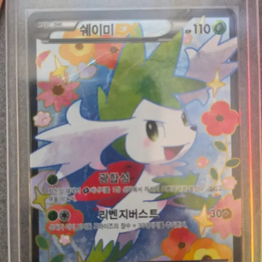 [BUNJANG] Pokemon Card BW Shaymin / 포켓몬카드 심쿵 BW 쉐이미