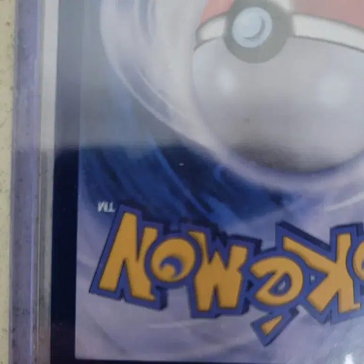 [BUNJANG] Pokemon Card Young&