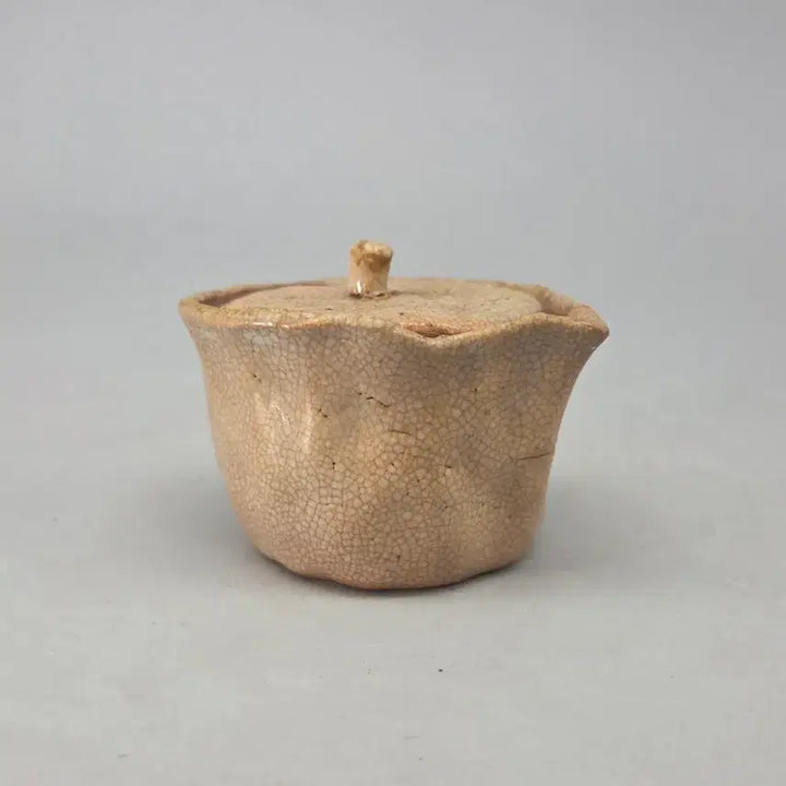 [BUNJANG] Antique Hagi Ware Celadon Glaze Tea Pot - 100+ Years Old / 골동품 이도유약의 고하기 차호 다관
