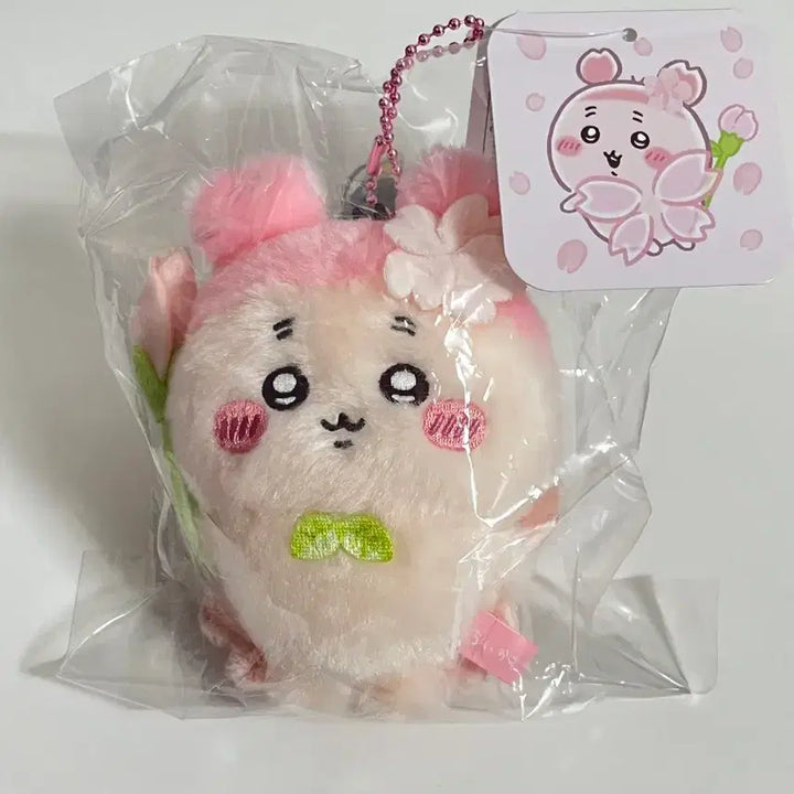[BUNJANG] NMIXX KANNY Cherry Fairy Photocard / 벚꽃요정카니 마코 판매합니다.